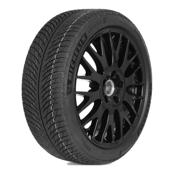 Шины Michelin 315/30 r21 Pilot Alpin 5 105V