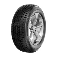 Шины Nexen  225/50/17  T 98 Winguard Ice  XL